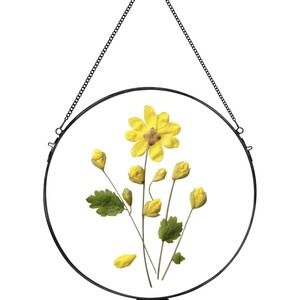 Glass‎ Frame for Pressed Flowers Handmade, Wall Hanging Brass FRAME ONLY...